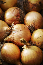 Organic onions - KSWF001605