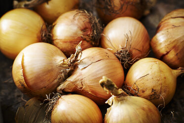Organic onions - KSWF001606
