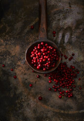 Holzlöffel mit Preiselbeeren - KSWF001612