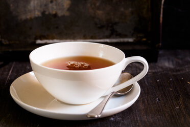 Black tea in white porcellain cup - SBDF002274