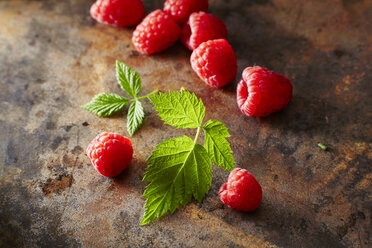 Himbeeren und Blätter - KSWF001617