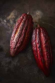 Two cocoa pods on rusty ground - KSWF001629