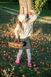 Girl collecting windfalls on a meadow - SARF002193