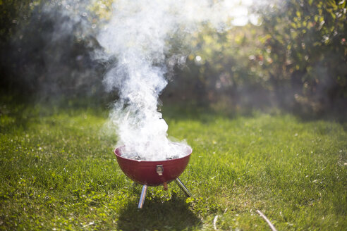 Räuchergrill im Garten - SARF002201