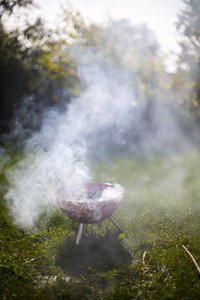 Räuchergrill im Garten - SARF002202