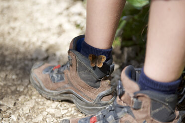 Butterfly Meadow Braun auf Wanderschuh für Jungen - JEDF000253