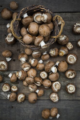 Crimini mushrooms in basket and on wood - LVF003999