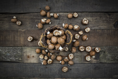 Kriminelle Champignons im Korb und auf Holz - LVF004000