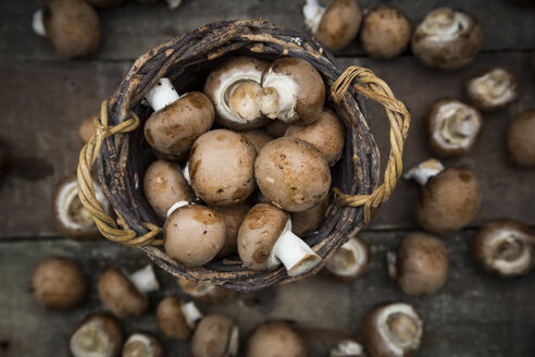 Kriminelle Champignons im Korb und auf Holz - LVF004001