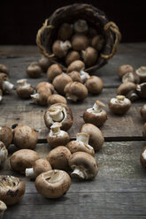 Crimini mushrooms in basket and on wood - LVF004005