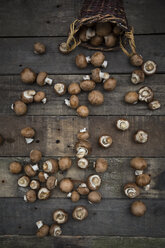 Crimini mushrooms in basket and on wood - LVF004006