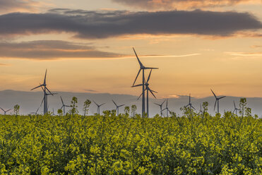 Windpark und Rapsfeld bei Sonnenuntergang - PVCF000711