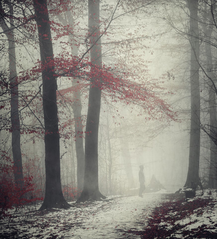 Mann auf Waldweg im Winter, lizenzfreies Stockfoto