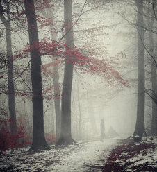 Man on forest path in winter - DWI000623