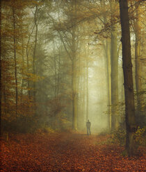 Walker in autumnal forest - DWI000626