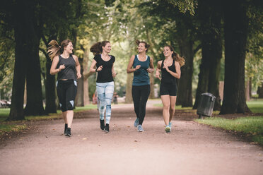 Vier Frauen joggen im Park - MADF000561