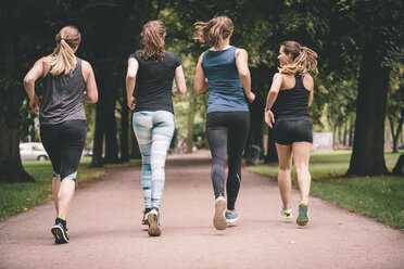 Vier Frauen joggen im Park - MADF000562