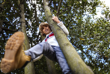 Blonder Junge klettert auf Bäume - MGOF000869