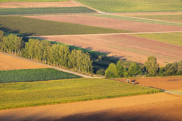 Germany, Bavaria, Karlstadt, fieldscape in morning light near Karlburg - SIEF006801
