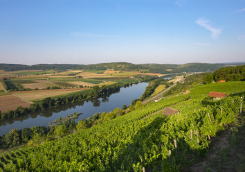 Germany, Bavaria, Karlstadt, Main River and vineyard Kalbenstein - SIE006803