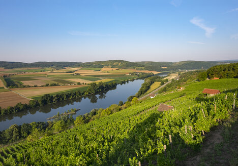 Deutschland, Bayern, Karlstadt, Main und Weinberg Kalbenstein - SIE006803