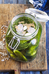 Gherkins fermenting, preserving jar - SBDF002377