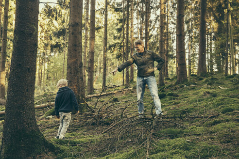 Älterer Mann sammelt Pilze mit kleinem Jungen - MFF002419