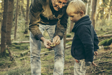 Mature man collecting bay bolete mushrooms with little boy - MFF002420