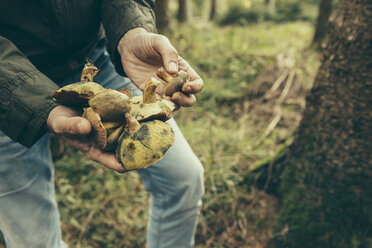 Älterer Mann mit Steinpilz (Boletus badius) - MFF002424