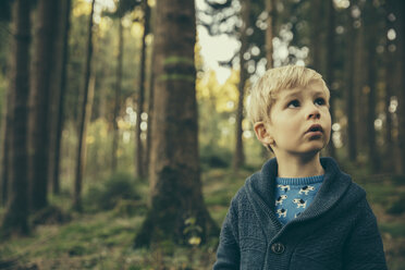 Little boy standing in forest looking up in wonder - MFF002427