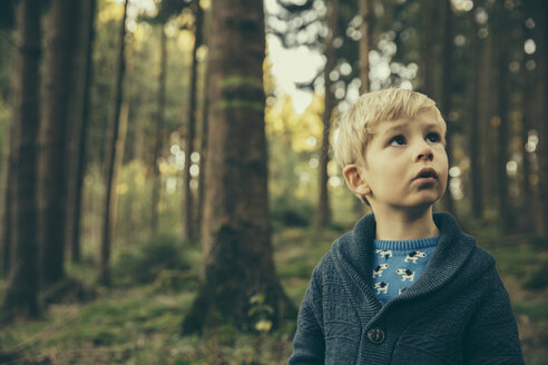 Kleiner Junge steht im Wald und schaut staunend nach oben - MFF002427