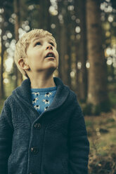 Little boy standing in forest looking up in wonder - MFF002428