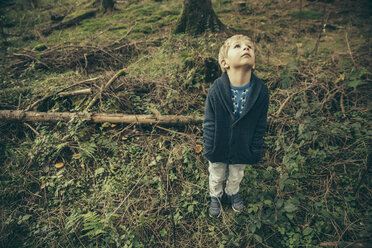 Little boy standing in forest looking up in wonder - MFF002429