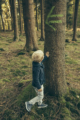 Kleiner Junge im Wald, der die Rinde einer Fichte berührt - MFF002433