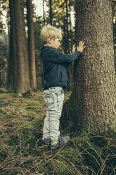 Kleiner Junge im Wald, der die Rinde einer Fichte berührt - MFF002434