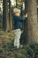 Little boy in forest touching bark of spruce tree - MFF002434