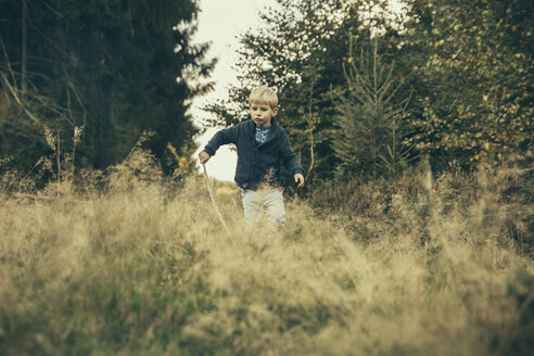 Kleiner Junge erkundet den Wald, geht mit seinem Stock im Gras - MFF002437