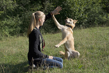 Young woman taming her dog on a meadow - CRF002720