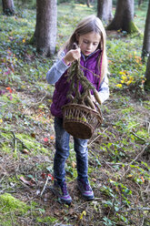 Little girl with basket collecting fir branches in the woods - SARF002231