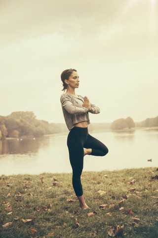 Frau in Vrksasana-Yogastellung im Autmny Park, lizenzfreies Stockfoto