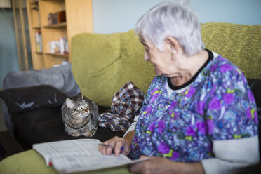 Ältere Frau und getigerte Katze auf der Couch zu Hause, die sich gegenseitig anschauen - RAEF000565