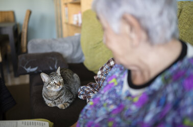 Ältere Frau und getigerte Katze auf der Couch zu Hause, die sich gegenseitig anschauen - RAEF000566