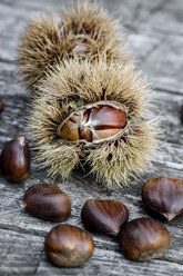Sweet chestnuts on wood - SARF002237