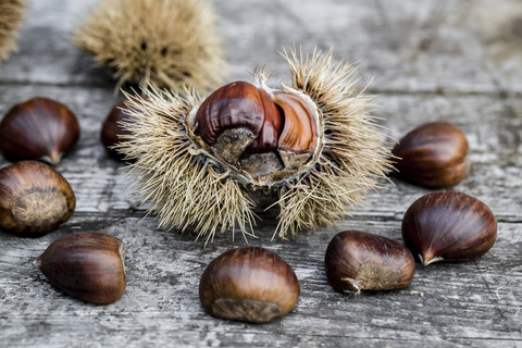 Esskastanien auf Holz, lizenzfreies Stockfoto