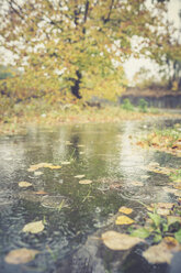 Regen, der im Herbst in eine Pfütze fällt - ASCF000400