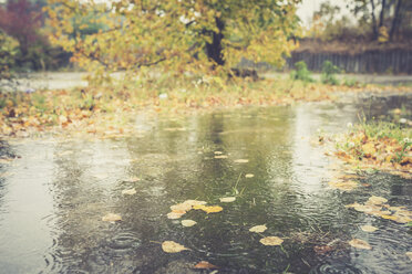 Regentag im Herbst - ASCF000401