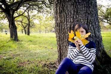 Mädchen mit Herbstlaub auf einer Wiese sitzend und an einen Baumstamm gelehnt - LVF004042