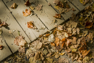 Herbstlaub auf dem Boden und der Holzpromenade - JPF000064