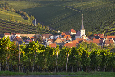 Deutschland, Unterfranken, Escherndorf, umgeben von Weinbergen - SIEF006809