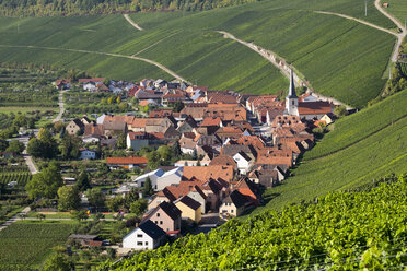 Deutschland, Unterfranken, Escherndorf, umgeben von Weinbergen - SIEF006814